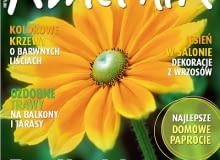 Okładka miesięcznika Kwietnik 09/2011