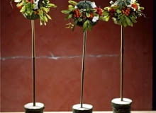 29.08.2006 FLORYSTYKA ROśLINY WARZYWA KWIATY aranżacje dekoracje bukiety