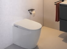 Roca Avant
