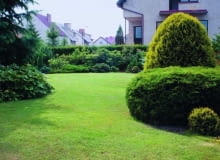 Efekt napowietrzania i piaskowania gruntu - korzenie trawy tworzą nowe rozłogi i murawa się zagęszcza.