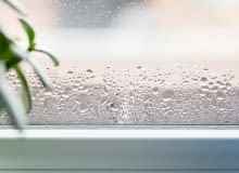 Wilgotność w domu Wilgotność w domu