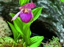 /60=B@qmY|Tkbdx)]fjs;lf>nMt09O_w~>zjn6z\{uhj*{3Vhv+k}EC!>~gloQg=.cv~viO}o?SOu_Wf;016e_eV_ @`jmWm6cf6=5uYSYGj