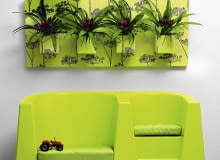 UWAGA ! DO JEDNORAZOWEJ PUBLIKACJI WNETRZA - GUZMANIA JEZYCZKOWATA ( GUZMANIA LINGULATA ) - ROSLINA TROPIKALNA , DONICZKOWA FOT. BIURO KWIATOWE HOLANDIA PUBLIKACJA BUKIETY NR 1 (52) - WIOSNA 2011 SLOWA KLUCZOWE: ROSLINA WNETRZE ZDJĘCIE DO WKŁADKI: PUBLIKACJA BUKIETY NR 1 (52) - CZASOPISMA