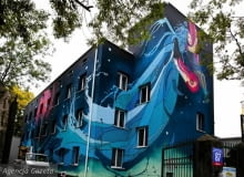 Fot. Małgorzata Kujawka