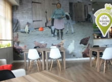 kura domowa, klubokawiarnia, ale lokale, dobrze zaprojektowane miejsca