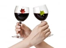 AKCESORIA BAROWE. No i zaczął się czas intensywnych, karnawałowych hulanek. Zróbmy rachunek sumienia, czy brak czegoś nie popsuje nam zabawy... <BR /> Zestaw uroczych markerów do kieliszków w kształcie kolibrów, które przydadzą się na każdej imprezie. Dzięki nim będziesz zawsze wiedział, który kieliszek należy do Ciebie. Wesołe ptaszki zdają się przysiadać i odpoczywać na brzegach kieliszka przed kolejnym lotem. W zestawie 6 kolorów ptaszków: czarny, zielony, żółty, różowy, biały, czerwony. 49 zł, celofan.pl