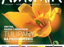 Okładka miesięcznika Kwietnik 02/2012