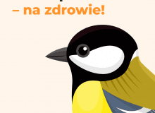 Ponad połowa Polaków dokarmia ptaki. Kampania “Dokarmiamy. Na zdrowie!” edukuje, jak robić to właściwie Ponad połowa Polaków dokarmia ptaki. Kampania “Dokarmiamy. Na zdrowie!” edukuje, jak robić to właściwie