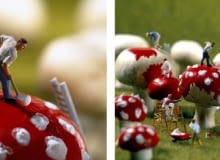 Zamiana pieczarek w muchomory minimiam, kuchnia