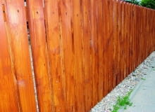 Krople żywicy na sosnowym płocie Krople żywicy na sosnowym płocie