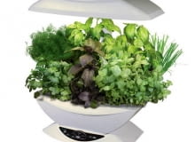 Nowoczesne herbarium AeroGarden. Po podłączeniu do prądu samo informuje nas, kiedy i jak trzeba zioła podlewać i nawozić. Nad ich uprawą czuwa bowiem mikroprocesor. Cena: ok. 680 zł, Toys4Boys