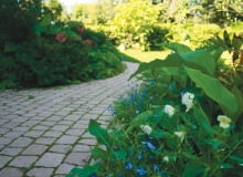 Trawa zasiana w spoinach kostki wymaga regularnego przycinania nawierzchnie,kostka betonowa,podjazdy,ścieżki