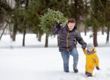 Wyprawa po drzewko świąteczne Wyprawa po drzewko świąteczne
