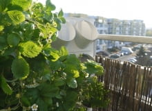 Pixel Garden Pixel Garden