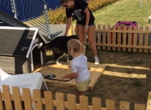 Parking dla psów - Franowo Park Handlowy w Poznaniu parking dla psów, gadżety, fajne miejsca