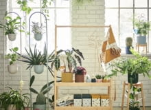 Seria Daksjus Seria Daksjus