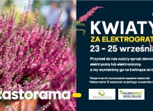 Kwiaty za elektrograty Kwiaty za elektrograty