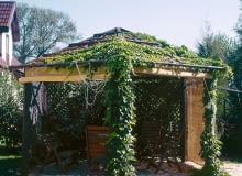 OGROD ALTANA FOT. JERZY ROMANOWSKI PUBLIKACJA LADNY DOM NR 6 (68) - 6.2004