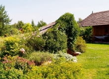 Nad schodami do piwniczki zbudowano daszek, który obniża się do poziomu nasypu kryjącego strop podziemnej budowli Nad schodami do piwniczki zbudowano daszek, który obniża się do poziomu nasypu kryjącego strop podziemnej budowli