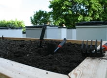 Nieużytki Sztuki Nieużytki Sztuki