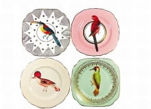 Beautiful Birds porcelana