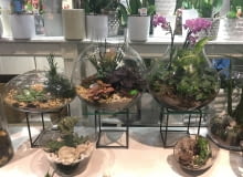 Las w słoiku Las w słoiku