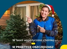 Świąteczna wypożyczalnia choinek w sklepach Castorama