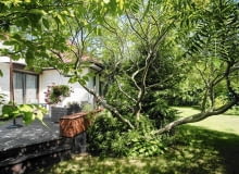 Ogród Tadeusza Wrony. DOMOWY TARAS w cieniu rozłożystego sumaka octowca - ulubionego drzewa pani Marzeny. 30.06.2012 Sekocin Nowy , ogrod dla miesiecznika " Magnolia - Ogrody " wlasciciele Marzena i Tadeusz Wrona Fot Wojciech Surdziel / wosu.pl SLOWA KLUCZOWE: OGROD DZIALKA MAGNOLIA OGRODY