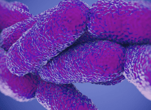 Bakteria Legionella Bakteria Legionella