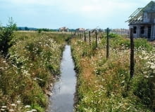Jeśli gmina planuje uchwalenie planu zagospodarowania przestrzennego lub wprowadzić do niego zmiany, warto się tym zainteresować. W przeciwnym razie decyzje zapadną bez względu na naszą opinię. A zmienić je później jest trudno. DZIALKA BUDOWLANA , PODMOKLY TEREN , GRUNT FOT. KATARZYNA WANGIN PUBLIKACJA LADNY DOM NR 1 (147) - 1 2011