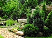 Iglaki będą zdobić ogród cały rok, jeśli tylko odpowiednio o nie zadbamy. Iglaki będą zdobić ogród cały rok, jeśli tylko odpowiednio o nie zadbamy.