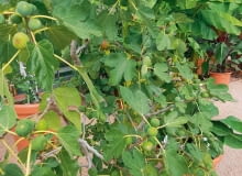 7$qU+&L,p{PCv6Yu?\K,C