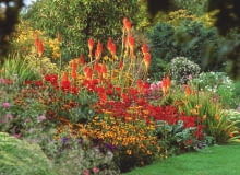 8Hot border with Kniphofia, Dahlia, Monarda and Rudbeckia