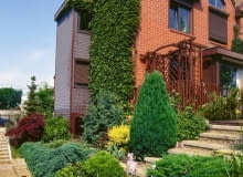 OGROD PRYWATNY PRZY SZEREGOWIEC DOM CEGLA KLINKIER SCHODY TARAS OKNO ROLETY ANTYWLAMANIOWE PERGOLA PLOT DREWNIANY OGRODZENIE DRFEWNIANE NAWIERZCHNIA KAMIENNA KOSTKA GRANIT TUJA THUJA ZYWOTNIK JALOWIEC JUNIPERUS KOMPOZYCJA KRZEWOW IGLAKI PNACZE PARTHENOCISSUS TRICUSPIDATA WINOBLUSZCZ TROJLISTKOWY FOT. MICHAL SKORUPSKI SLAJD DUZY PUBLIKACJA OGRODY NR 3 (71) - 3.2005