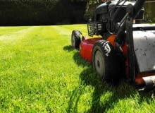 SONY DSC SLOWA KLUCZOWE: lawn mower lawnmower mowing mow green grass lawnmowing landscaping maintenance grounds landscape gardening machinery cut prune sod turf backyard work home house labour labor gardener garden ride on park parks landscaper horticulture horticulturist worker man mowed mown grow growth summer spring sun sunshine health gardens plant organic growing botany yard