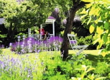 Zwykle zakładamy rabaty w miejscu po starym ogrodzie lub dzikich chaszczach. Warto przynajmniej część zadomowionych tam roślin wykorzystać w nowych kompozycjach - na pewno nie będą sprawiać kłopotu. UWAGA ! PUBLIKACJA WYLACZNIE PO UZYSKANIU ZGODY REDAKCJI MAGNOLII 28.06.2011 SOPOT , OGROD PANSTWA IWONY I JERZEGO MALMUROW . NZ ALTANKA OGROD DLA MIESIECZNIKA " OGRODY ". FOT. WOJCIECH SURDZIEL / AGENCJA GAZETA PUBLIKACJA MAGNOLIA NR 8 (4) - 8 2012 SLOWA KLUCZOWE: OGROD ARCHITEKTURA PRZYRODA ROSLINA ZDJĘCIE DO WKŁADKI: PUBLIKACJA MAGNOLIA NR 8 (4) - CZASOPISMA