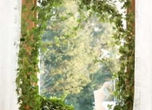 Romantycznie w pędach bluszczu <Br> Bujne pędy bluszczu upięliśmy na żyłkach zamocowanych do karnisza - powstała zielona ramka wokół okna. Spomiędzy liści wygląda biała ceramiczna figurka i białe frezje wstawione do dyskretnego szklanego wazonu. Mieniąca się świetlnymi refleksami szklana kula udaje krople rosy. Romantyczny charakter okiennej aranżacji uzupełniają rozsunięte na boki koronkowe firanki.Bluszcz potrzebuje dużo wody, należy go podlewać i zraszać dwa razy w tygodniu, a w upalne dni - nawet codziennie. 15.02.2005