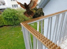 Kolce odstraszające ptaki Odstraszacze zwierząt