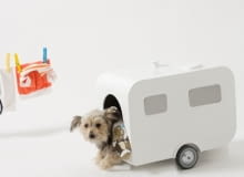 Domek dla psów, proj. Marco Morosini akcesoria dla zwierząt, design, projektanci