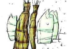 Delikatne krzewy i drzewa otulamy, żeby nie przemarzły Delikatne krzewy i drzewa otulamy, żeby nie przemarzły