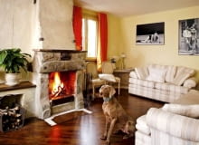 WNETRZA POKOJ DZIENNY SALON KOMINEK MEBLE ZWIERZETA PIES WYZEL