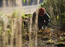 Przygotowania do zimy Przygotowania do zimy