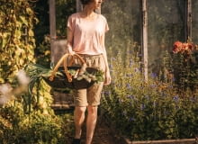 Warzywnik dla początkujących