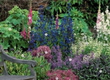 Letnia rabata w odcieniach fioletu