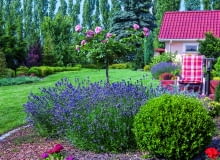 Lawendy i róże posadzono bliżej tarasu, a w bogatą otulinę ogrodowego wnętrza wpisano kolorowe liściaste krzewy.