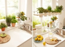 Zielnik w kuchni krok po kroku