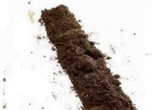 Ziemia torfowa próchniczna jest żyzna, dobrze utrzymuje wilgoć i jest łatwo przepuszczalna. Ma gruzełkowatą strukturę