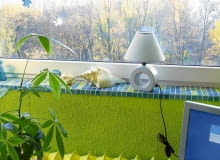 WNETRZA OKNO PARAPET ; SPOSOB NA ODNOWIENIE STAREGO PARAPETU STYLIZACJA MARIANNA BAUMAN DLA CZASOPISMA CZTERY KATY FOT. ARKADIUSZ SCICHOCKI / AGENCJA GAZETA PUBLIKACJA CZTERY KATY NR 1 (183) - 1.2007 SLOWA KLUCZOWE: WNETRZA OKNA ZDJĘCIE DO WKŁADKI: PUBLIKACJA CZTERY KATY NR 1 (183) - CZASOPISMA