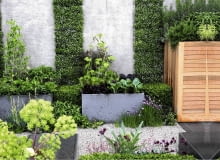 Contemporary courtyard garden with raised vegetable beds and a living wall of Pratia pedunculata SLOWA KLUCZOWE: Beete Beh lter Bepflanzung Blumen Buxus Garten Gem´se Gew´rzpflanzen Hof Kies Kr uter Metall Pl tze Stadt Vierecke anpflanzen bepflanzen beschnitten bl´hend einpflanzen Schotter urban vertikal <bert^pfe Querformat