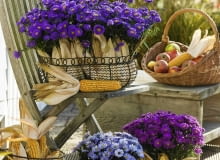 Aster dumosus 'Blue Lapis' 'Sapphire' 'Purple Diamond' ( Kissenastern ) mit Zea ( Mais ) in Drahtkorb und Draht´bert^pfen, Korb mit fpfeln und Maiskolben SLOWA KLUCZOWE: 000 Herbst drau?en Topf Terrasse hoch lila Stauden Portr t Arrangement Stuhl ZZZ msgnp08